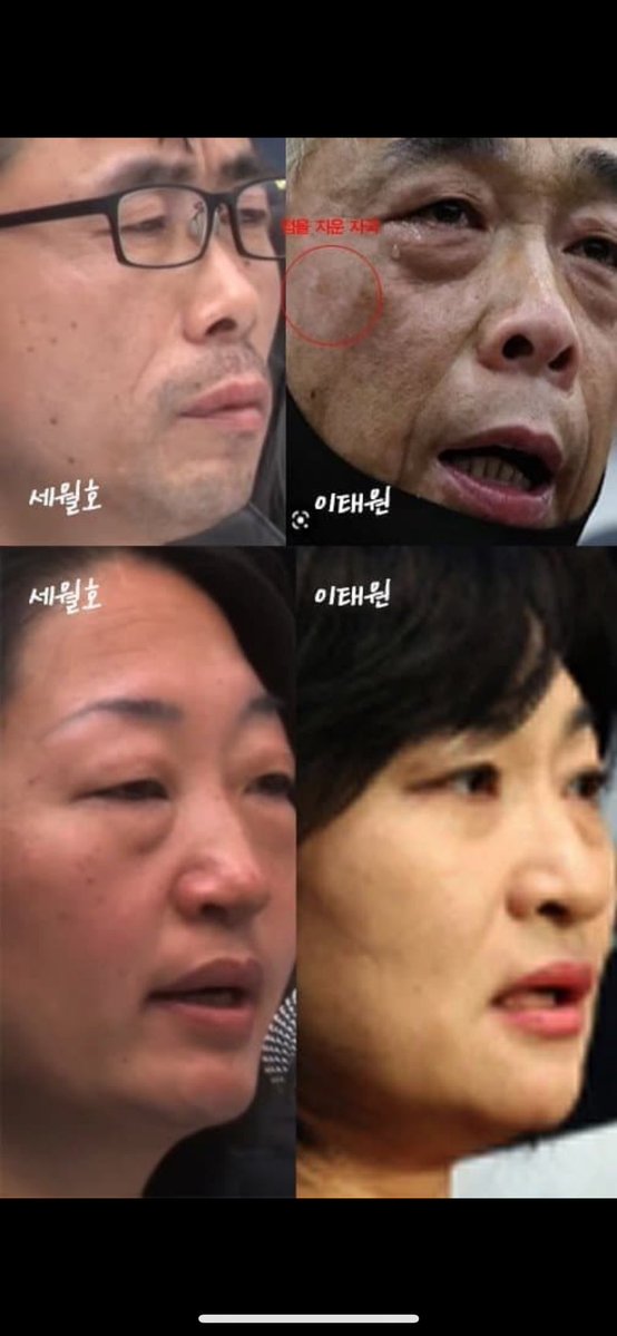 celeste 🇰🇷🇺🇸 tweet media