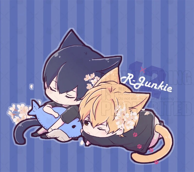 クロサキ🐈 tweet media