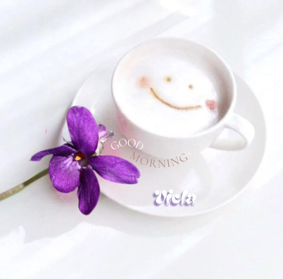 𝒱𝒾𝑜𝓁𝒶 ❥❥ tweet media