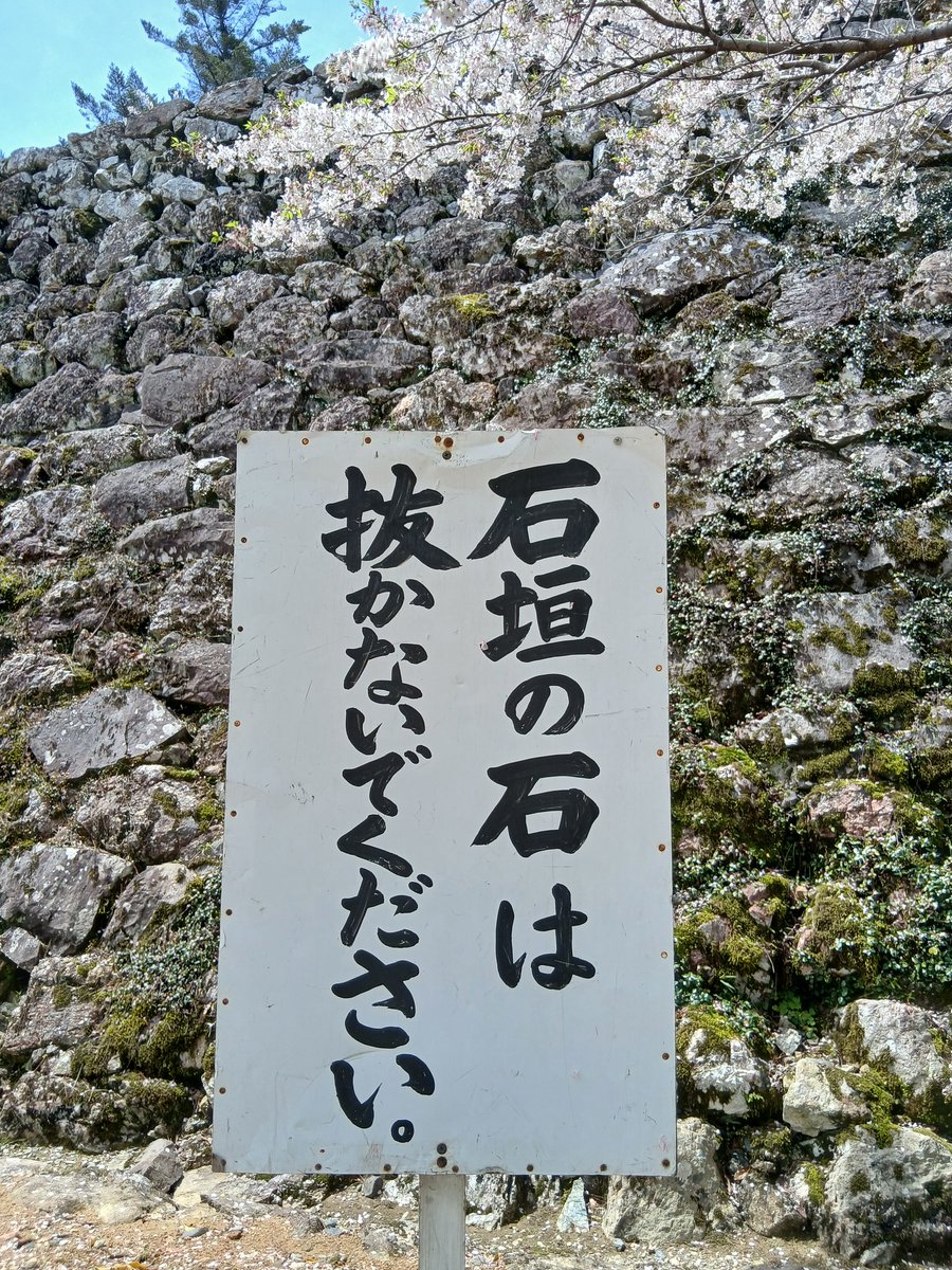 ใใใ๐๐
๐พ/๐๐ฑ๐๐ tweet media