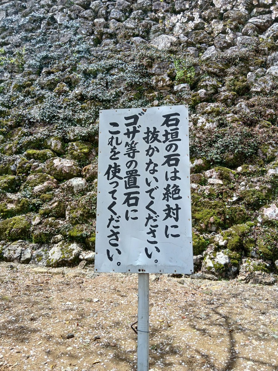 ใใใ๐๐
๐พ/๐๐ฑ๐๐ tweet media