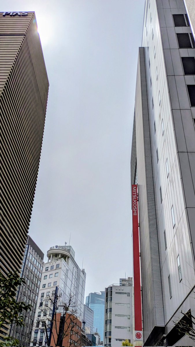 東京コンサーツ tweet media