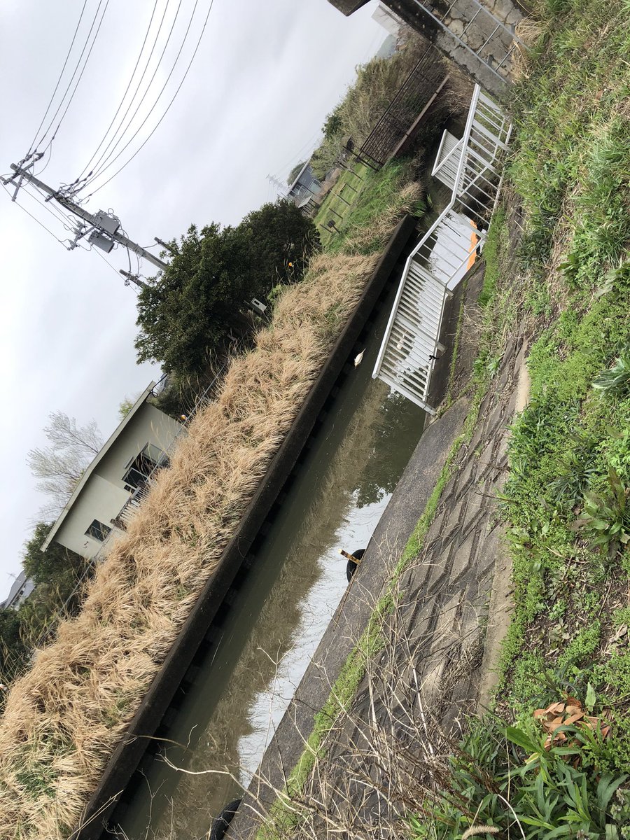 さとる tweet media