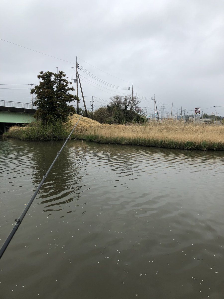 さとる tweet media