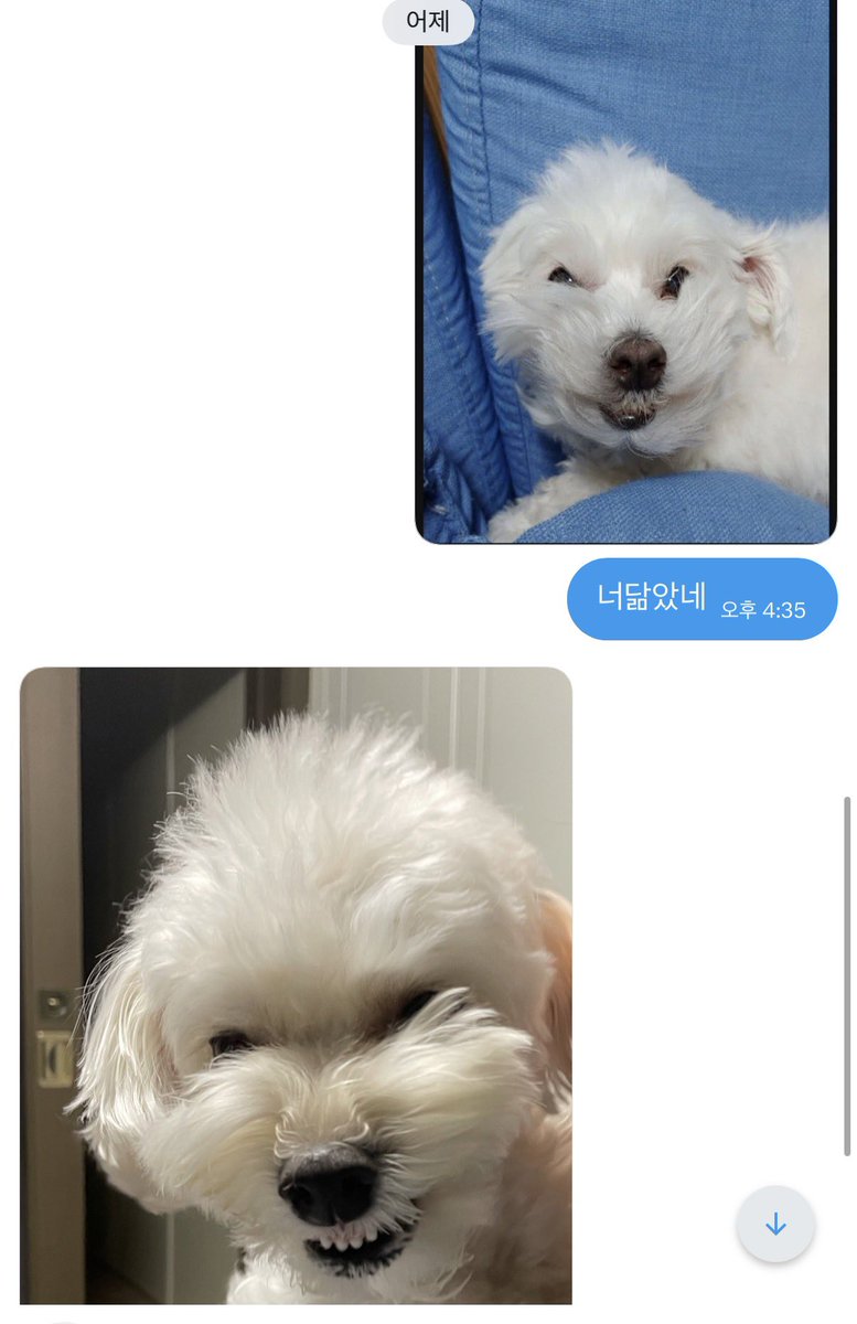 아빠와 다정이 tweet media