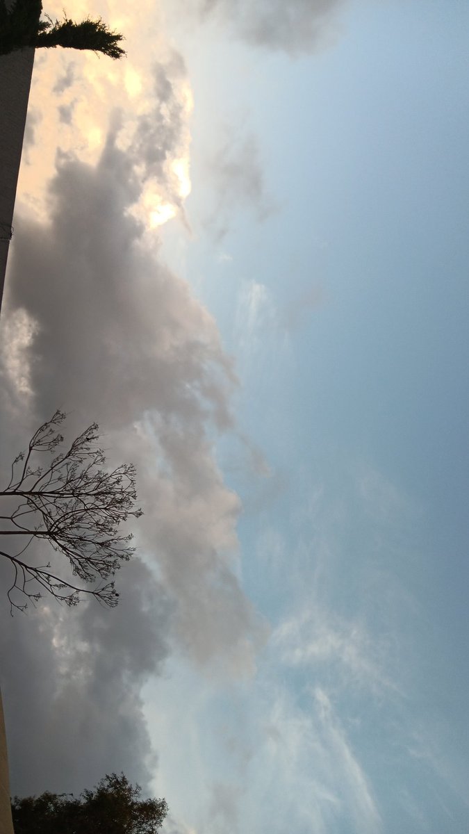 عبدالله tweet media