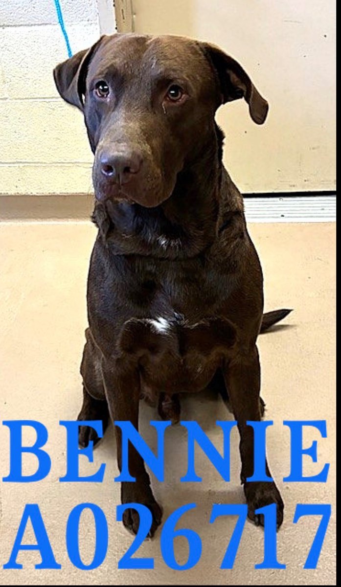 Fionaismybitch tweet media