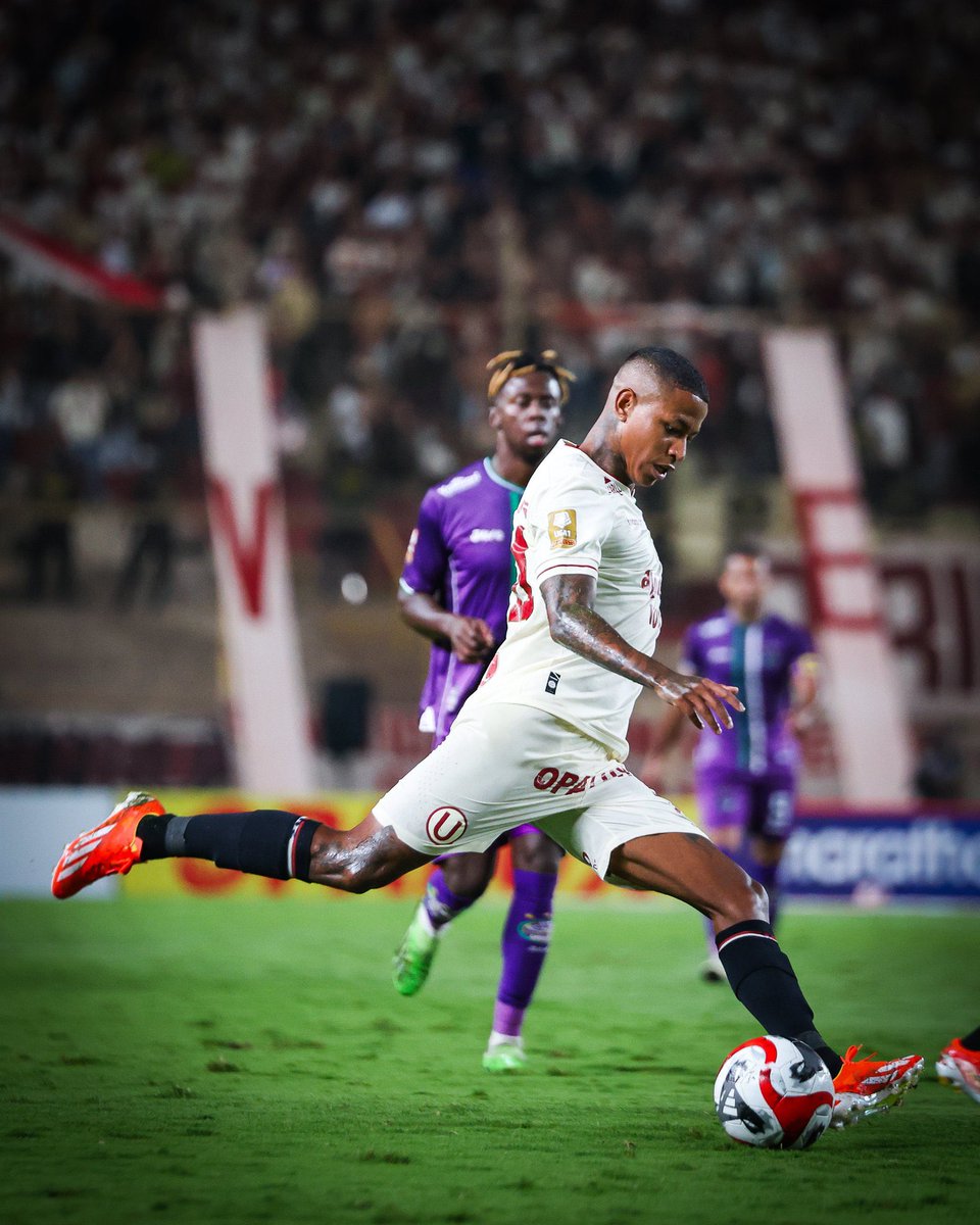 Alexander LⓊria 🏆 29 ⭐ tweet media