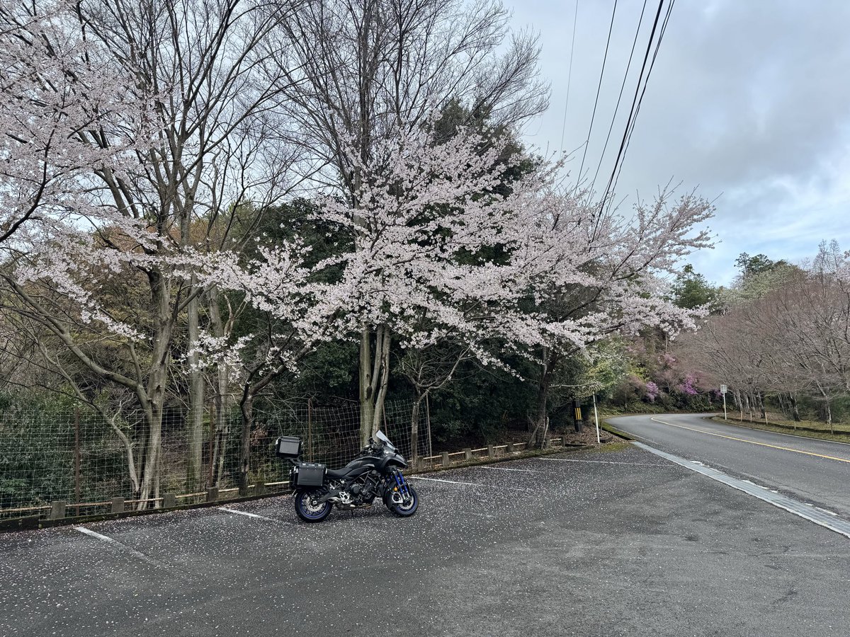 stdblue's tweet photo. ちなみに右下がりの駐車場に停めようとして一敗。右サイドへの立ちゴケは初めてじゃないかな。 https://t.co/VOKg6GQJnK