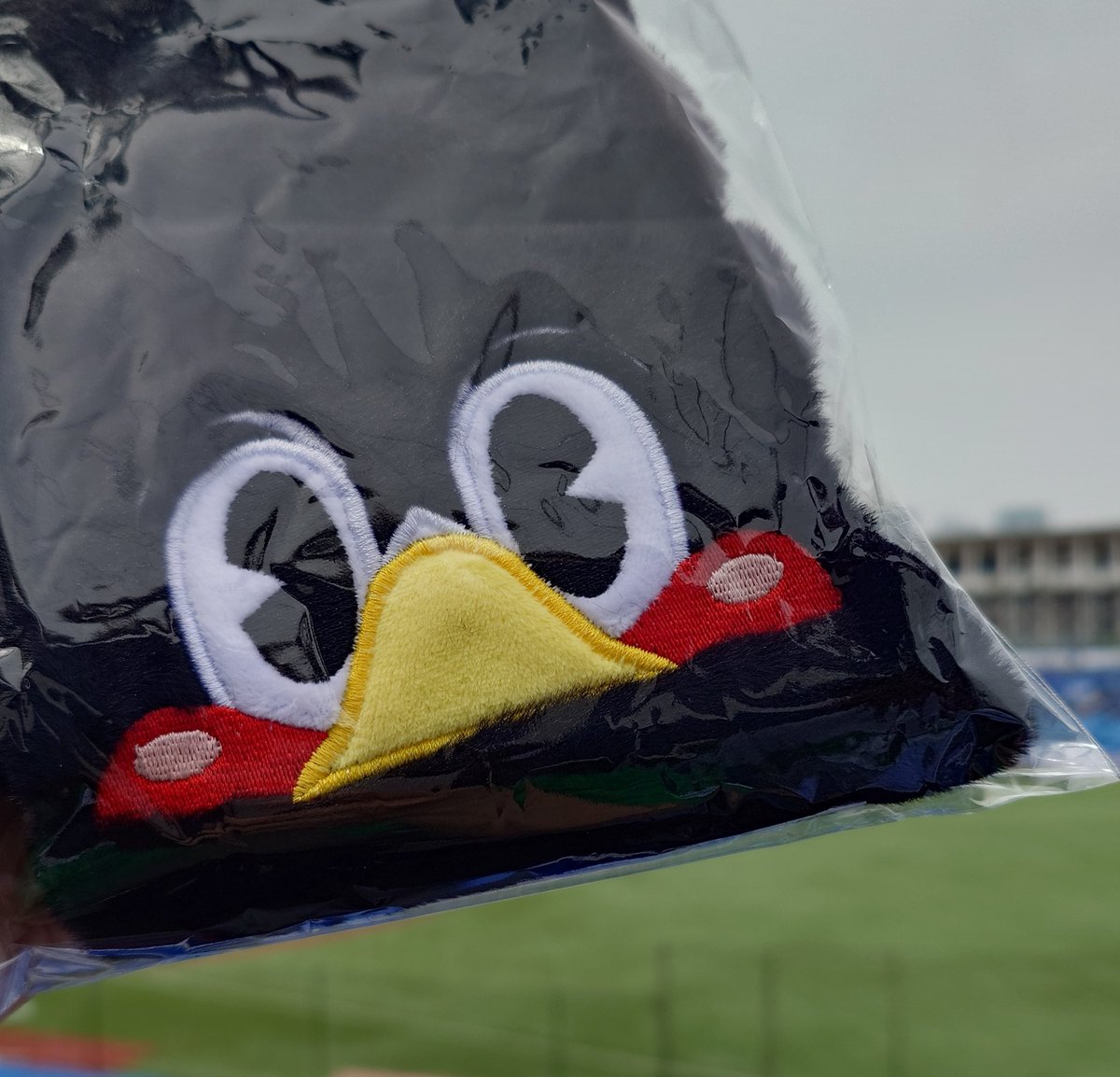 ちゅうりっぷ🌷 tweet media