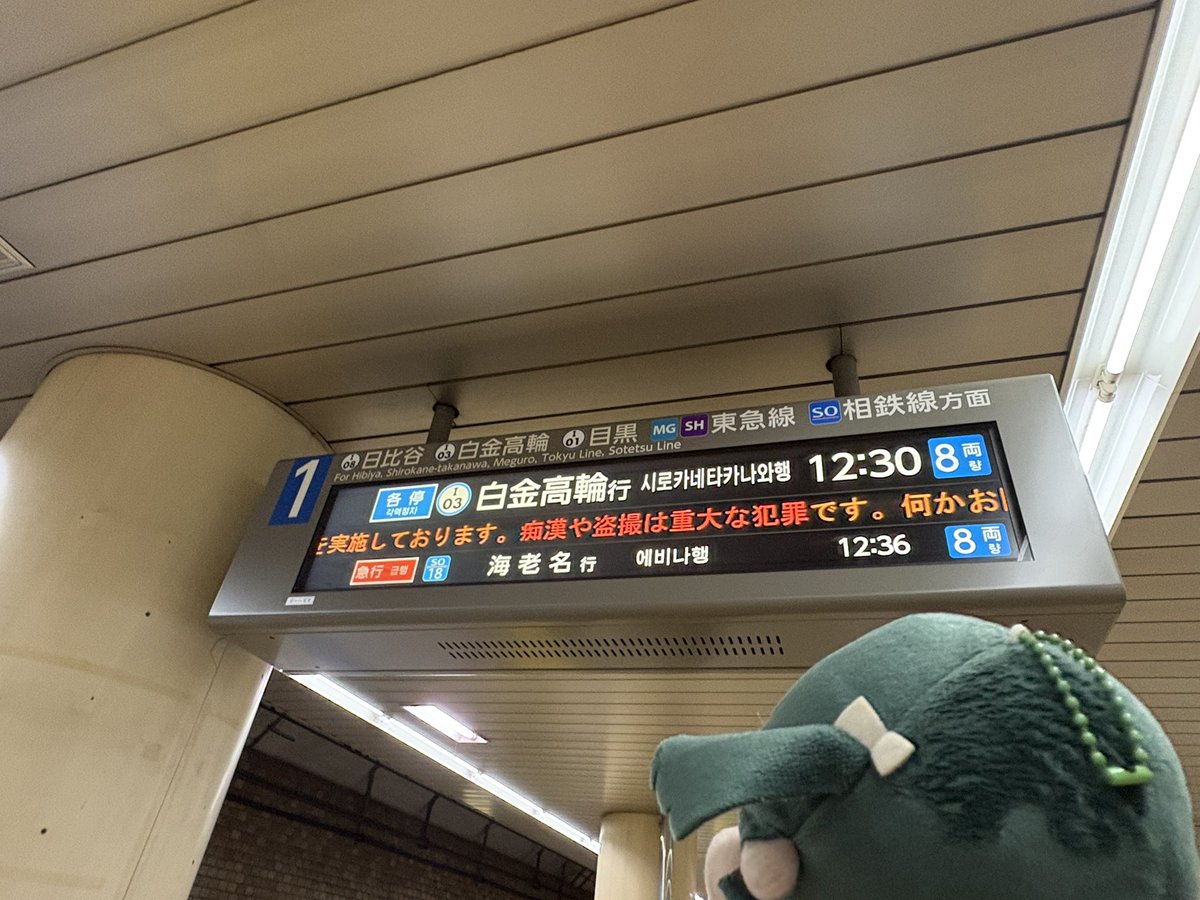 ✨🏹 lilly best 7 🎸✨ tweet media