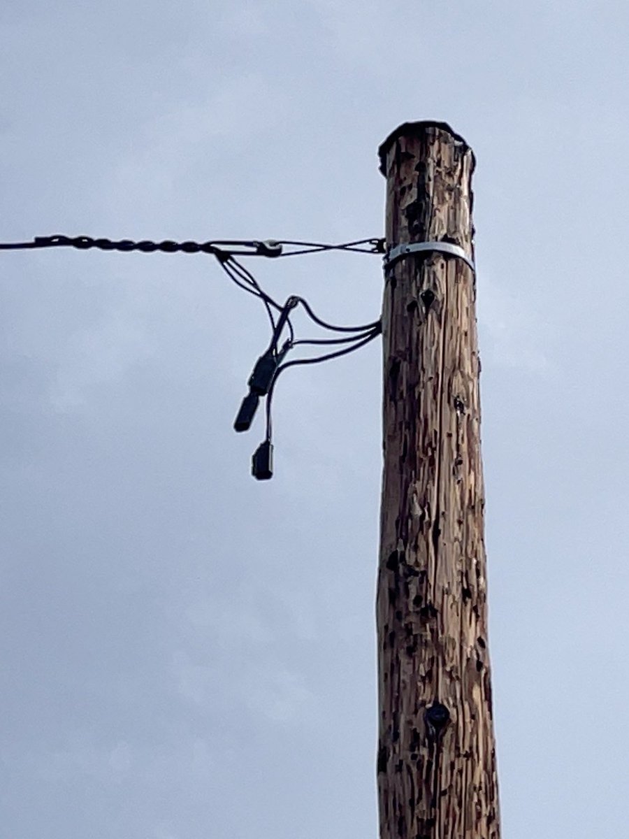 𓃦 Natchdon 𓃥 tweet media