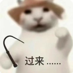 重庆刘亦菲 tweet media