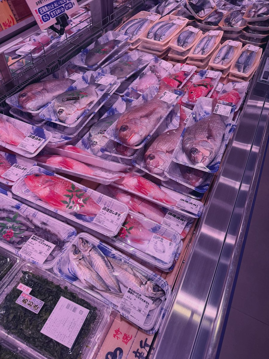 石膏像ドットコム tweet media