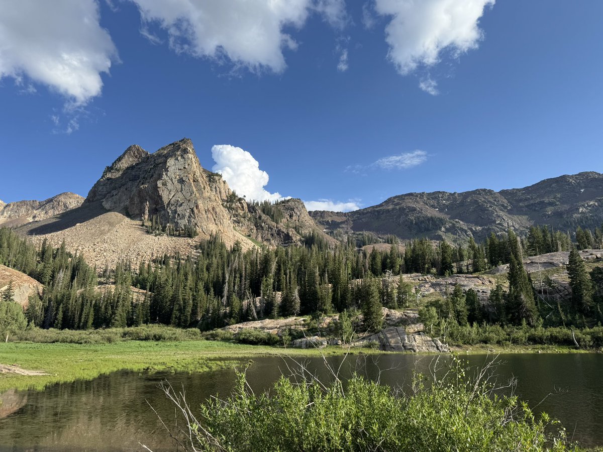 Just Passing Through tweet media