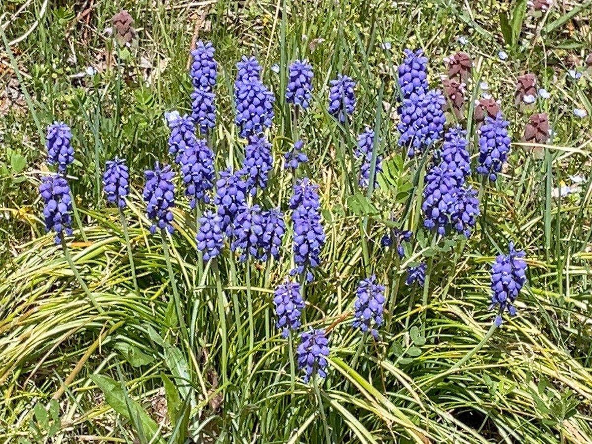 𓃦 Natchdon 𓃥 tweet media