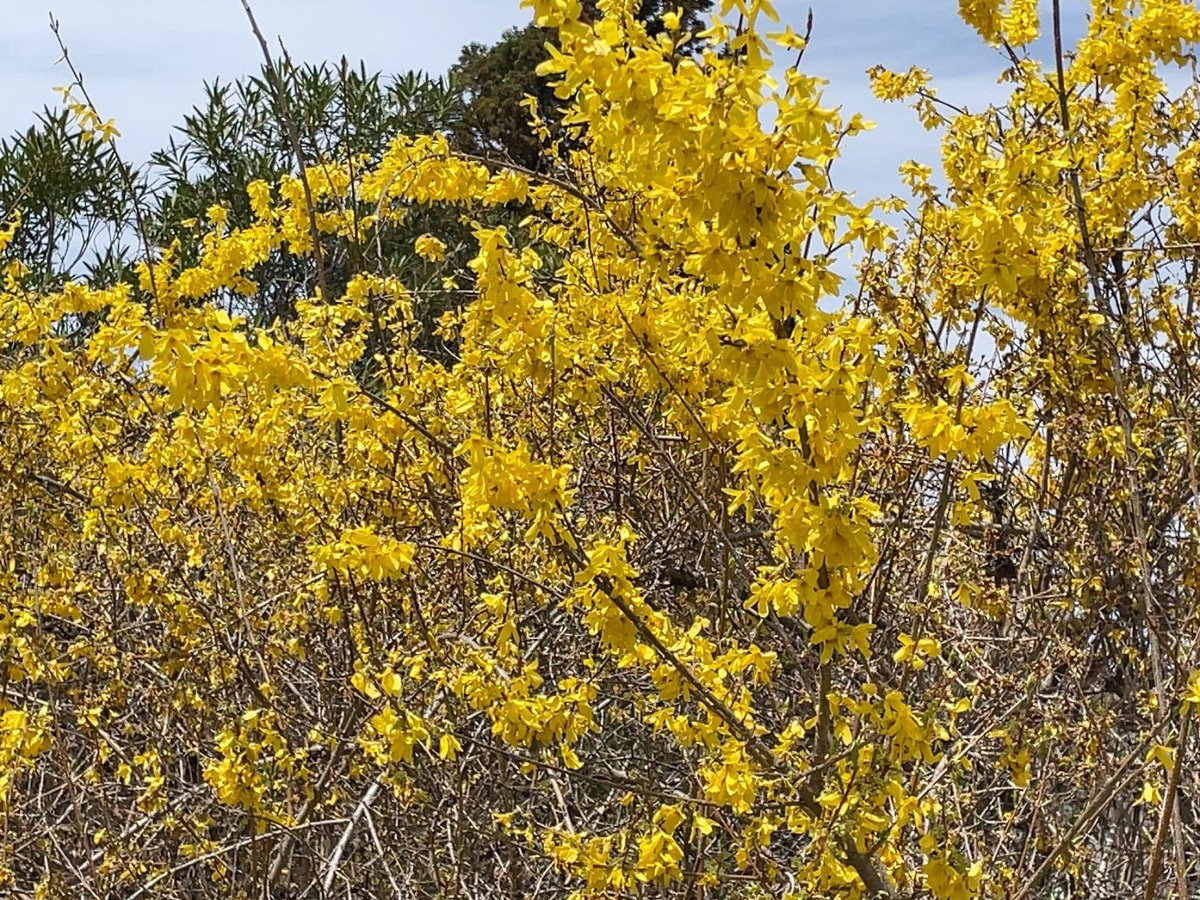 𓃦 Natchdon 𓃥 tweet media