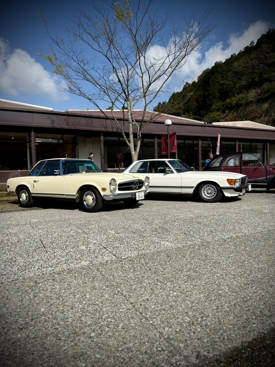 AKI SKINHEAD tweet media