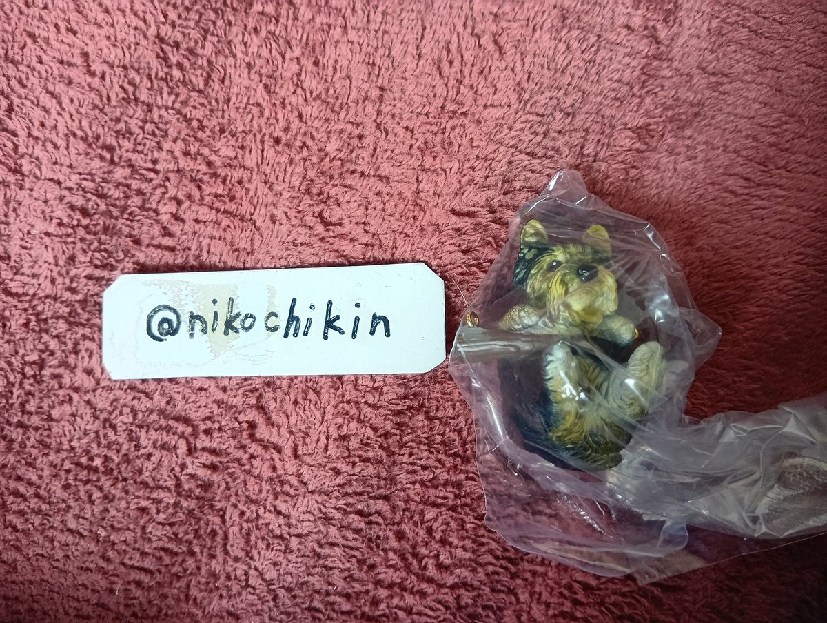 にこチキン tweet media