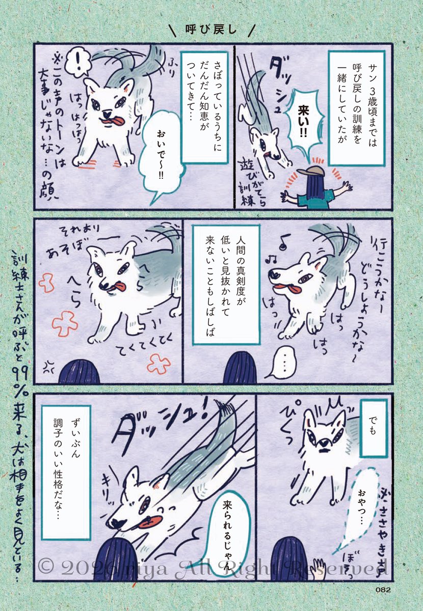 「おおかみいぬのサン 人間と家族になる」🐺
3/31書籍発売中 
試し読みその3(1/3) 