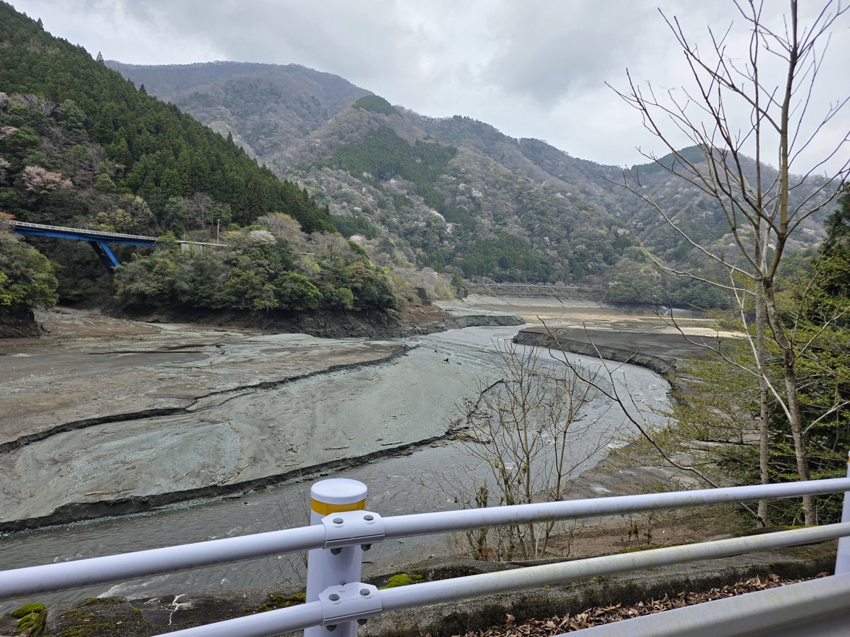 しさくさん X tweet media