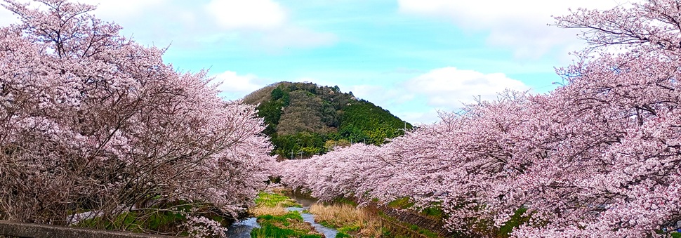 Johnny Ueki tweet media