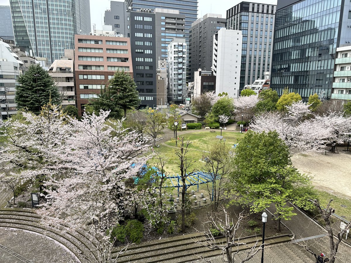 しぇー tweet media