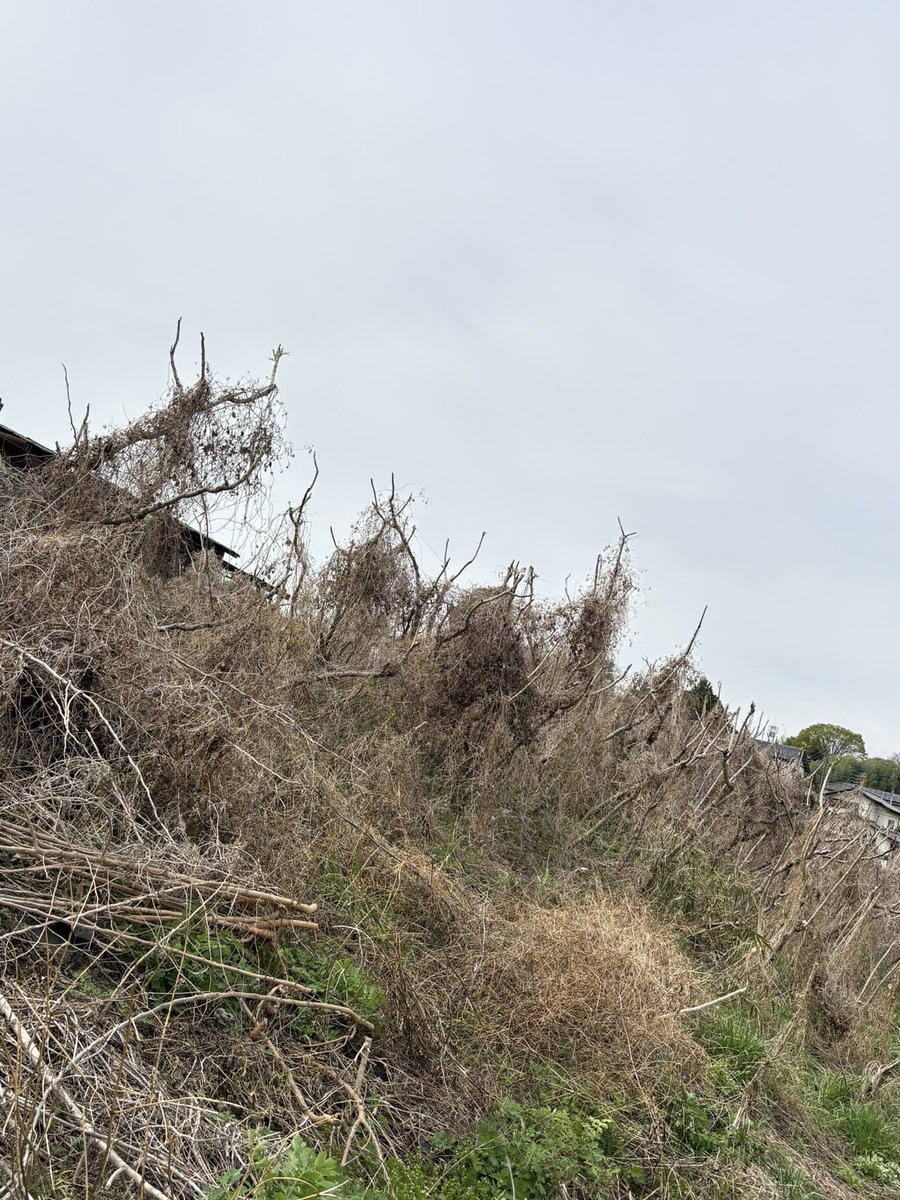 はやとん tweet media