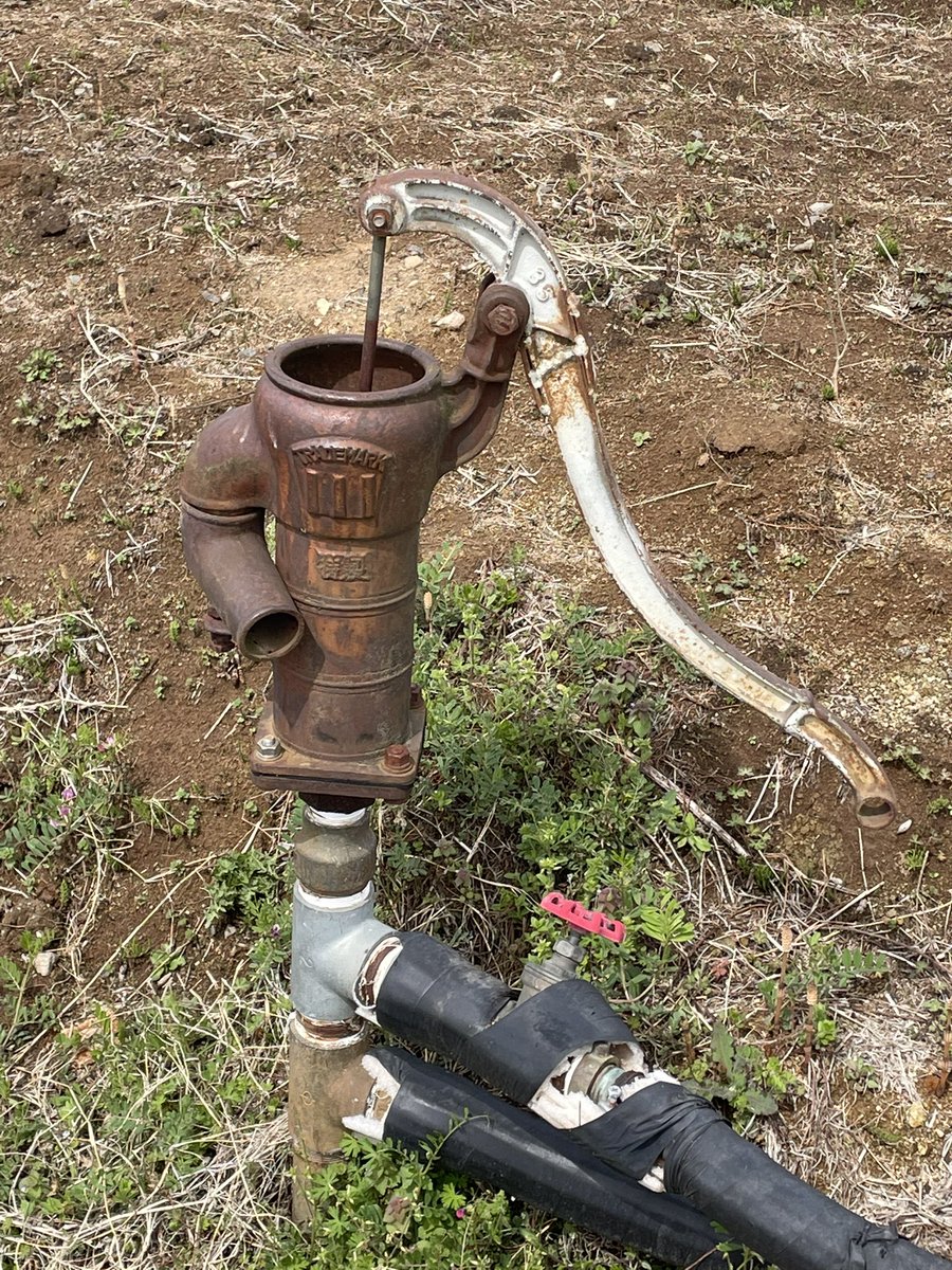 𓃦 Natchdon 𓃥 tweet media