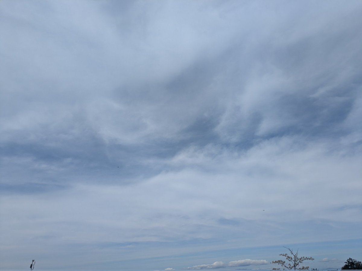 春见🌍🍊🥝🙊 tweet media