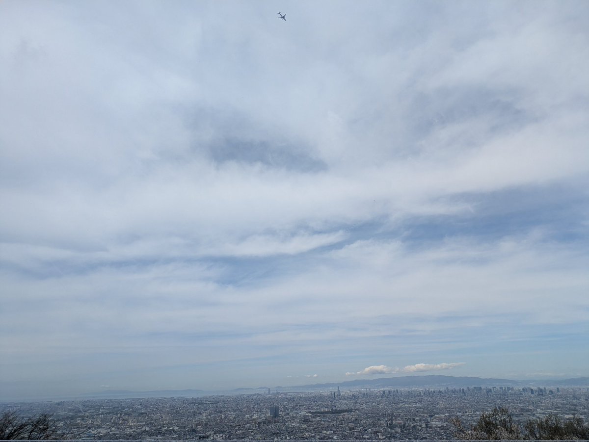 春见🌍🍊🥝🙊 tweet media