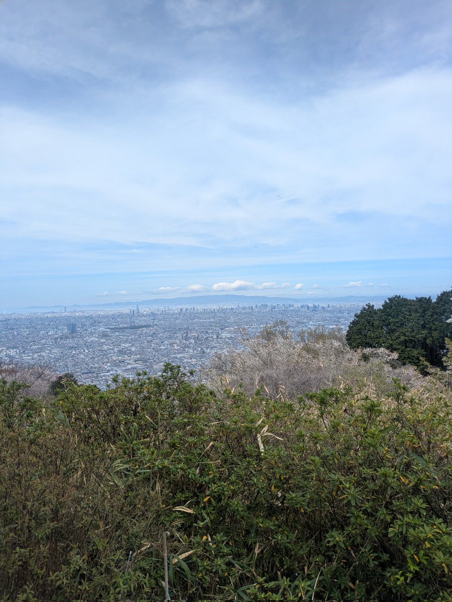 春见🌍🍊🥝🙊 tweet media