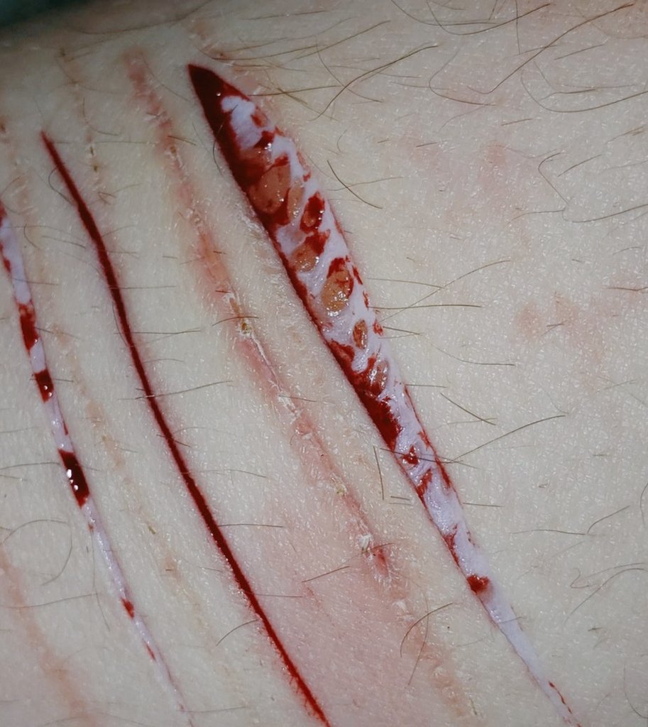 Ellis // {shedtwt} tweet media