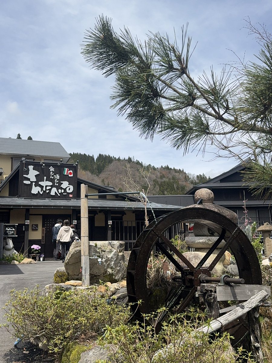 HamuHamu tweet media