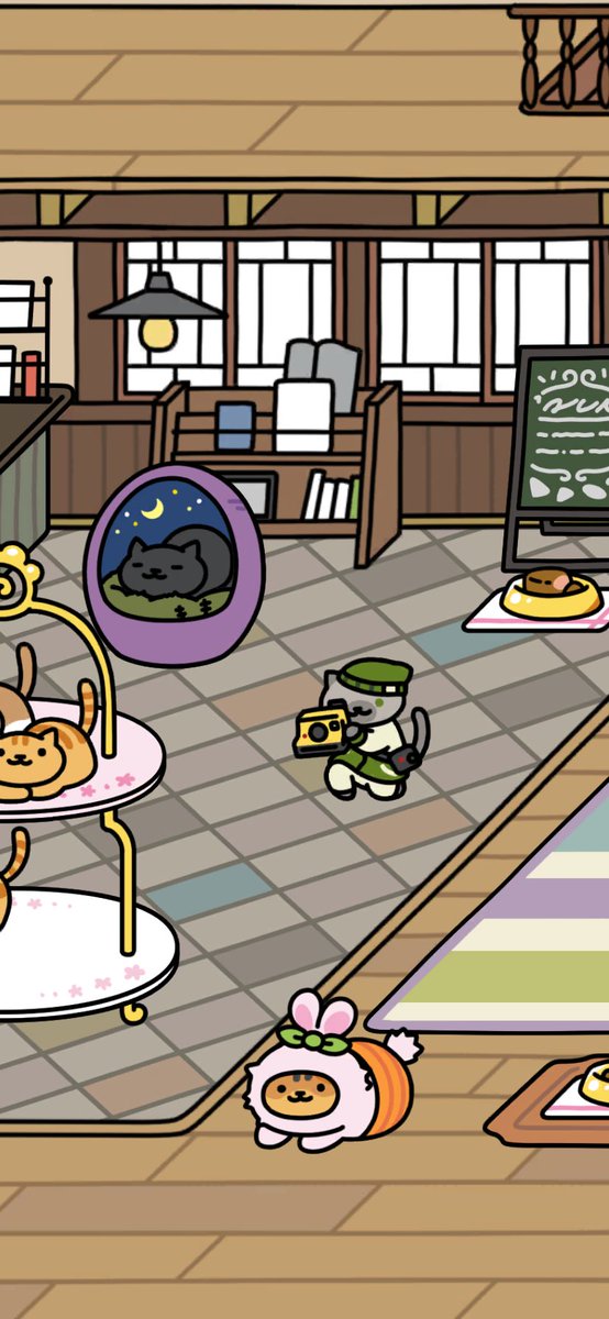 caesarhyh's tweet photo. #ねこあつめ2

ふぉとさん
Food：高級マグロ猫缶 https://t.co/znDVJT9VFi