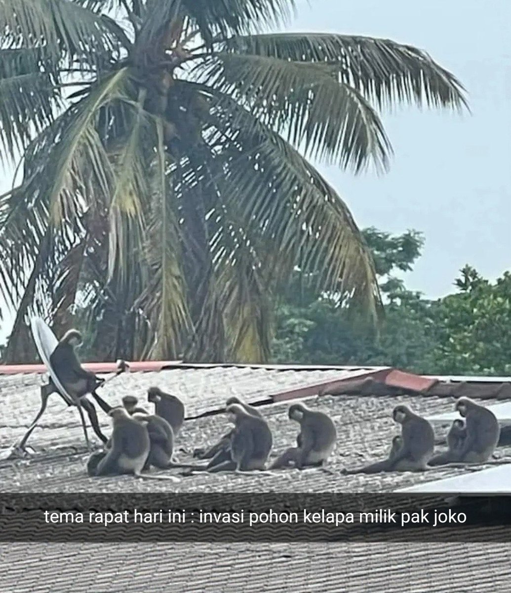 Catholic 𐕣 tweet media