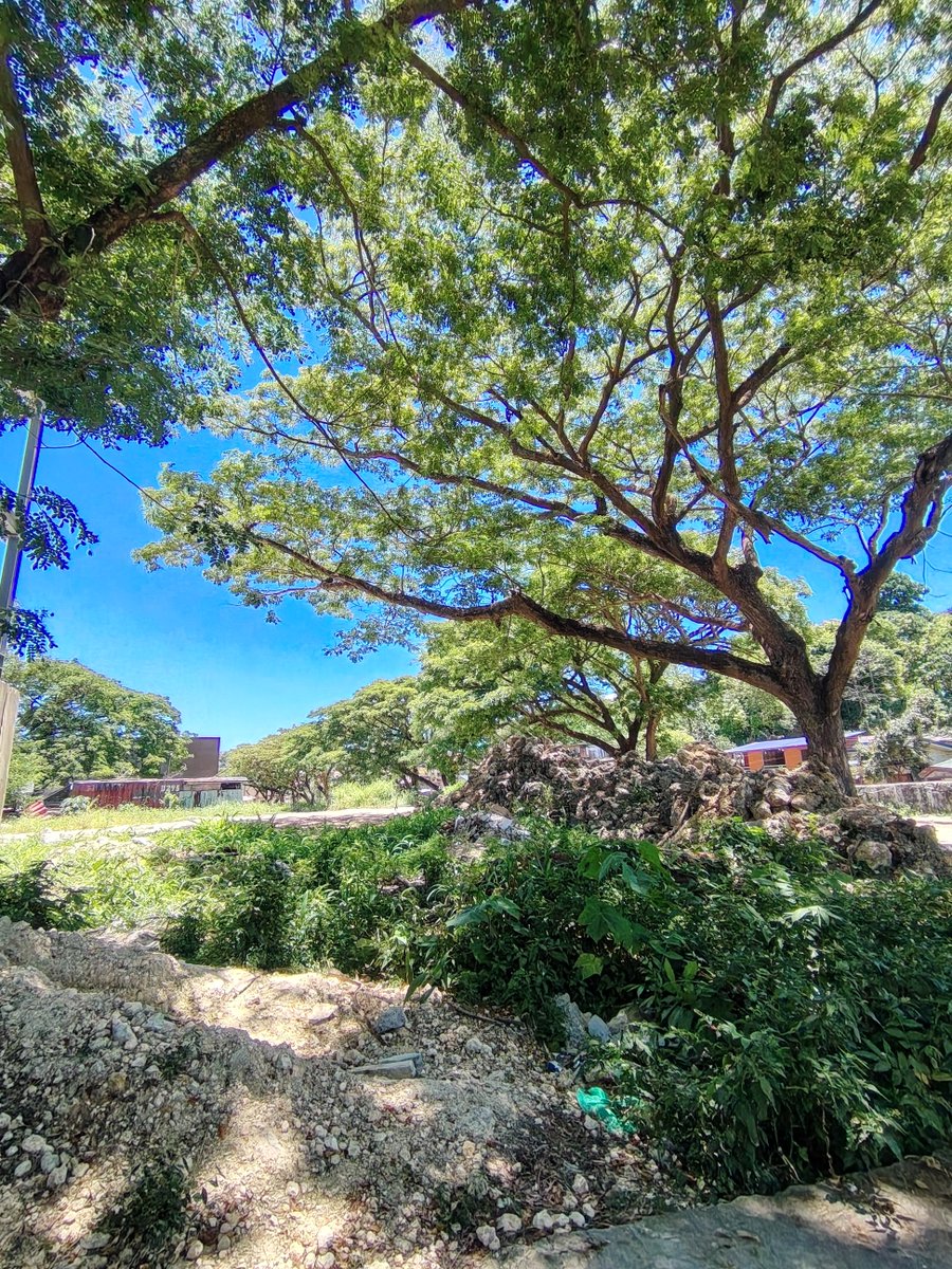 LustBusted tweet media