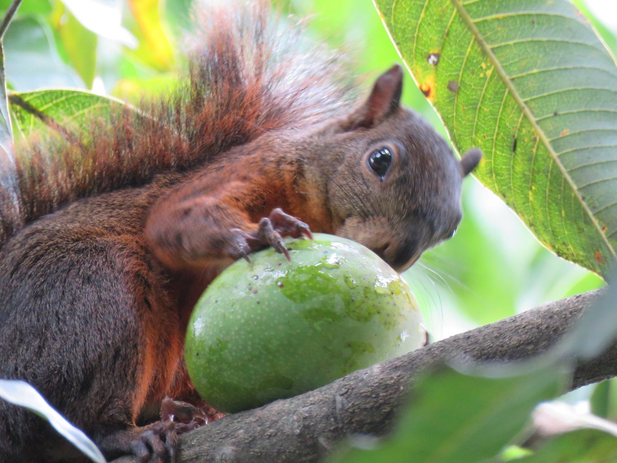 Andrés Monroy Gómez tweet media
