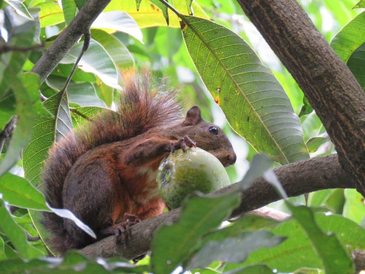 Andrés Monroy Gómez tweet media