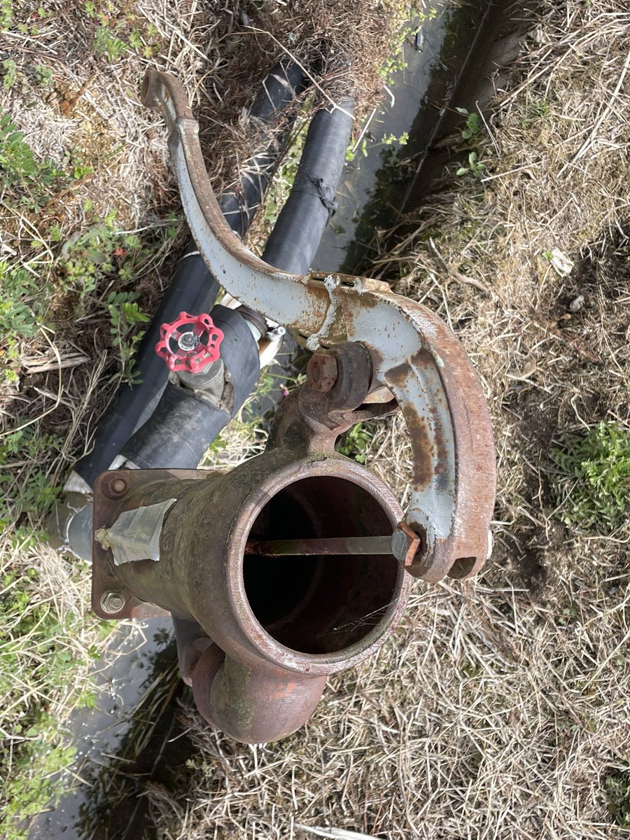 𓃦 Natchdon 𓃥 tweet media