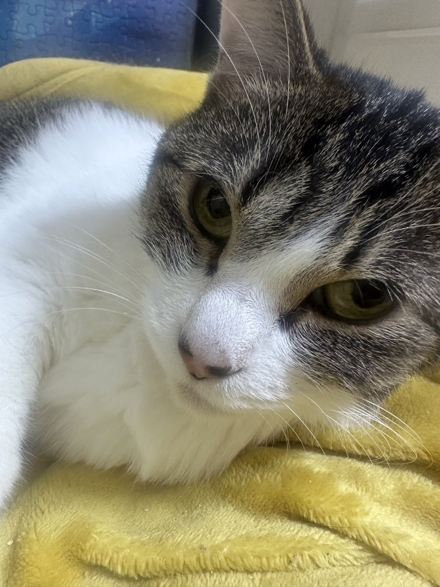 カルマ tweet media