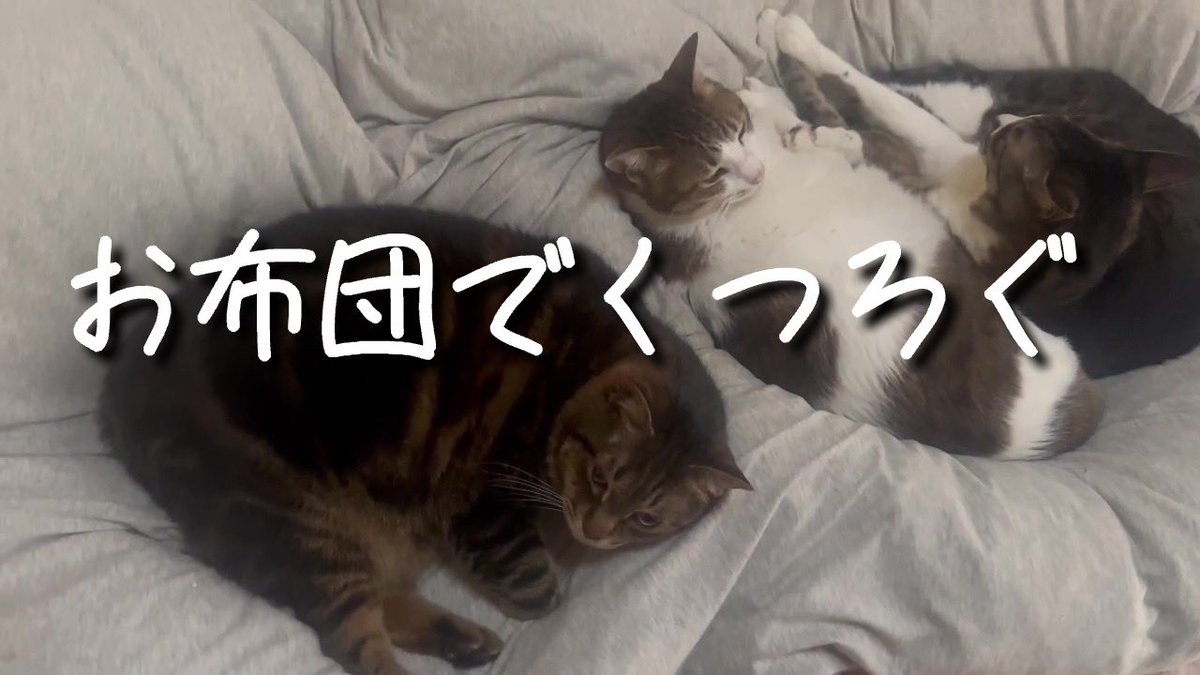 カルマ tweet media