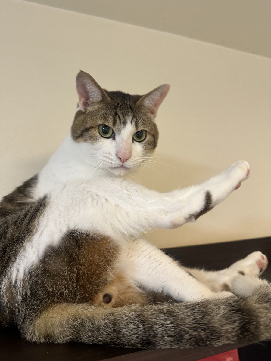 カルマ tweet media