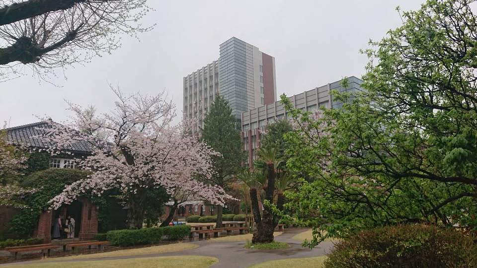 昨日は、立教大学大学院社会デザイン研究科、入学式。一夜明け、目を輝かせた人々との多岐にわたる対話を反芻する。

理不尽だらけ、不合理ばかりとも見えるこの世界を、表層から深層まで味わい、走りながら探究する営みの始まり。
この新鮮な気持ちを、永遠に。