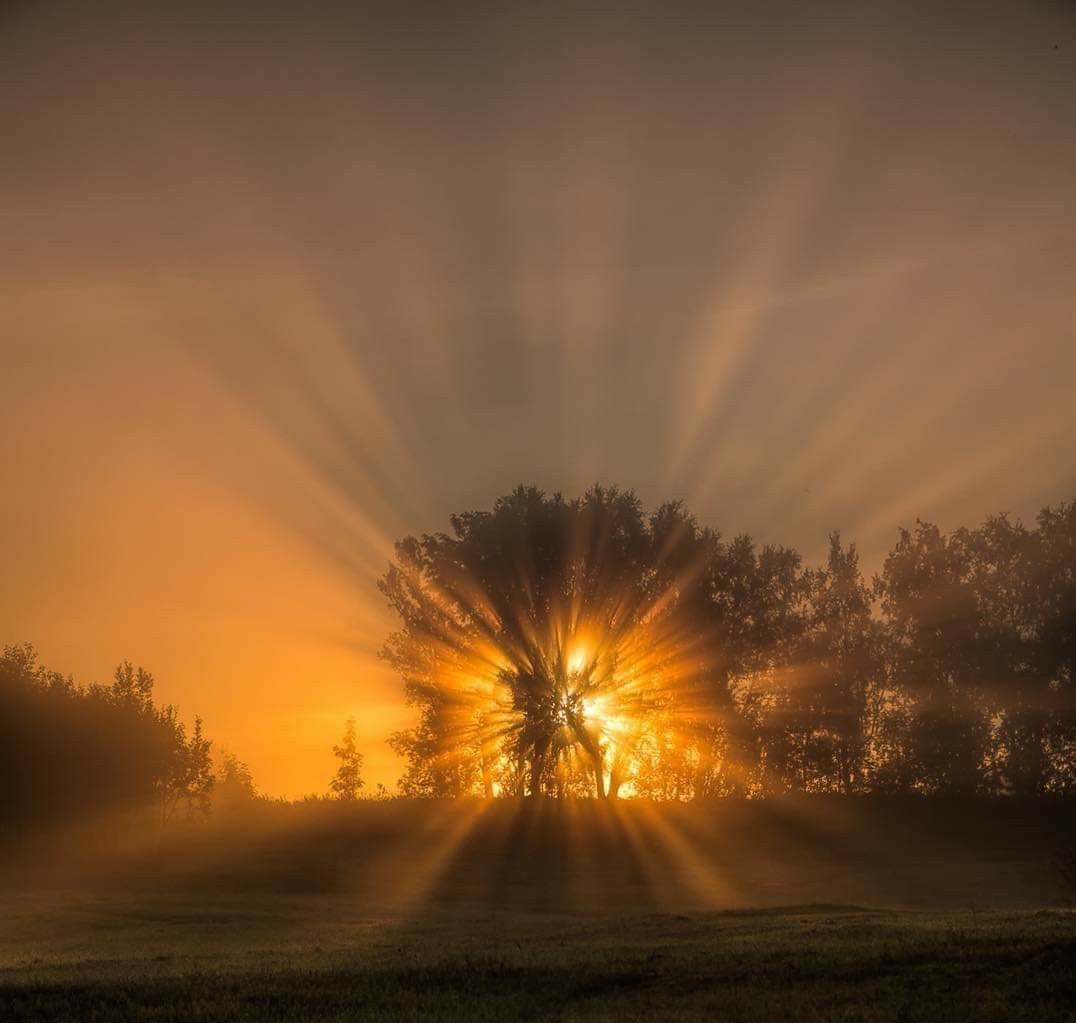 رَوائِعُ القَصِيدْ tweet media