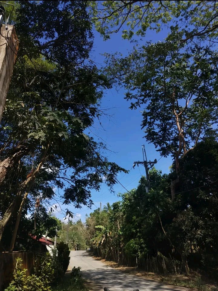 🇮🇩🇵🇭قثغظ بطحقثس tweet media