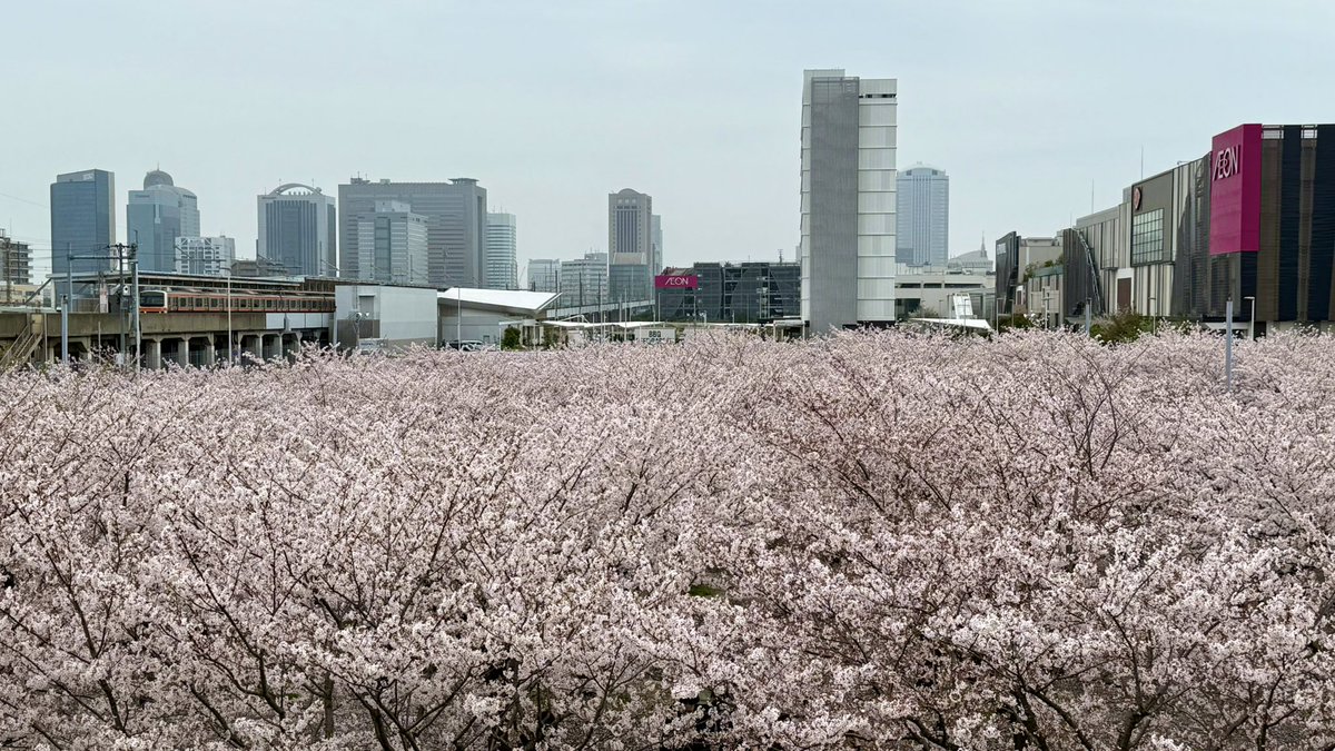 あつはる tweet media