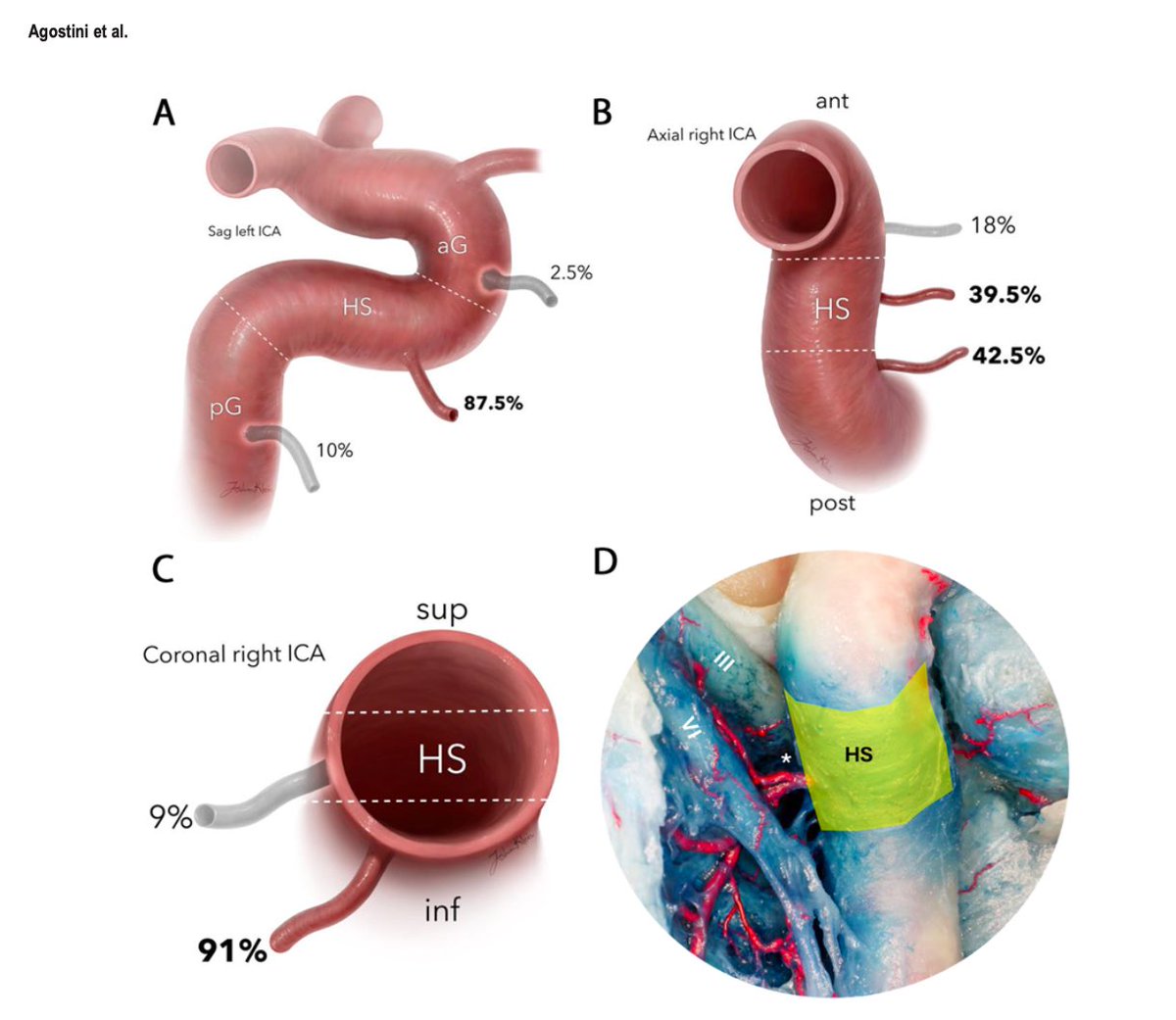 DrJFM - Juan C. Fernandez-Miranda MD - tweet media