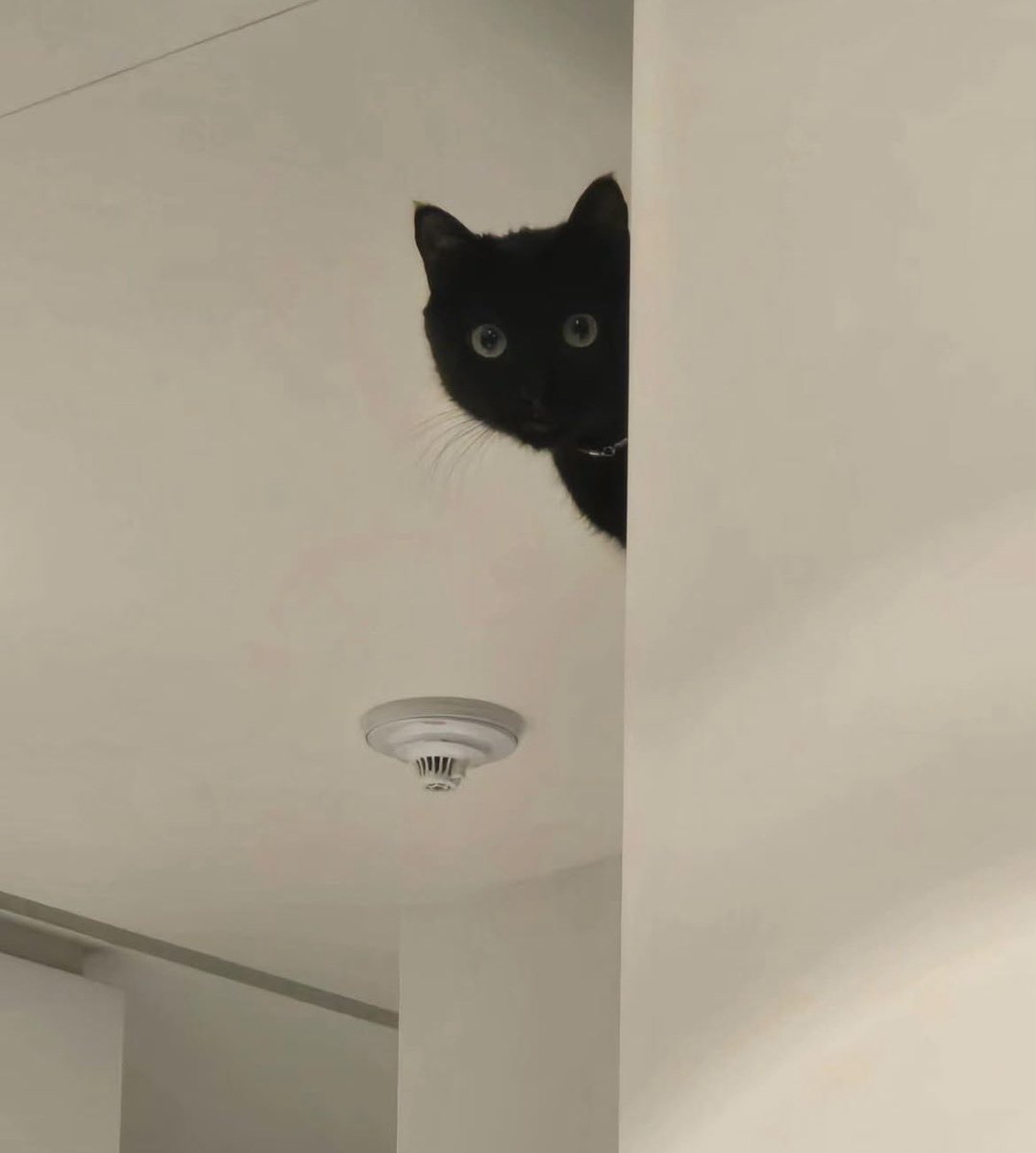 Dia⁷ ♡ is SEEING MCR tweet media