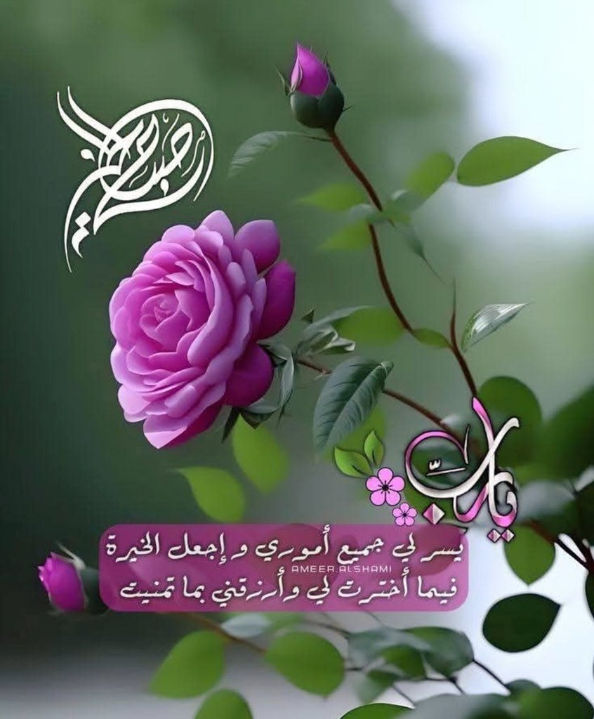 فاطمة عبدالعزيز 🇸🇦 tweet media